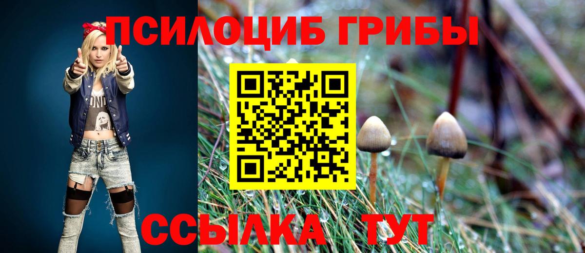 Псилоцибиновые грибы мухоморы Евпатория