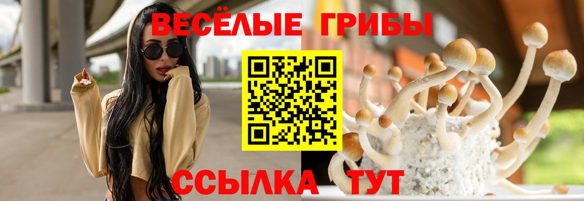 Евпатория  Псилоцибиновые грибы Cubensis  Вход с VPN  Псилоцибиновые грибы Psilocybe 